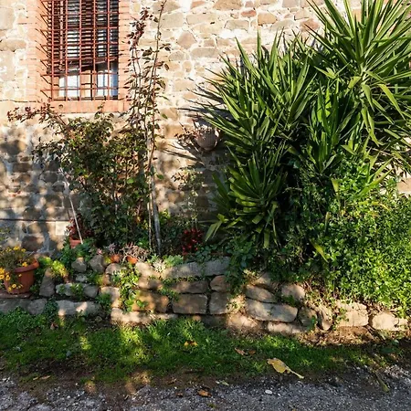 Casa Teresina Casa de Campo Petrognano (Lucca)
