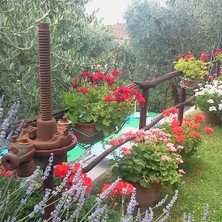 Casa Teresina Casa de Campo Petrognano (Lucca)